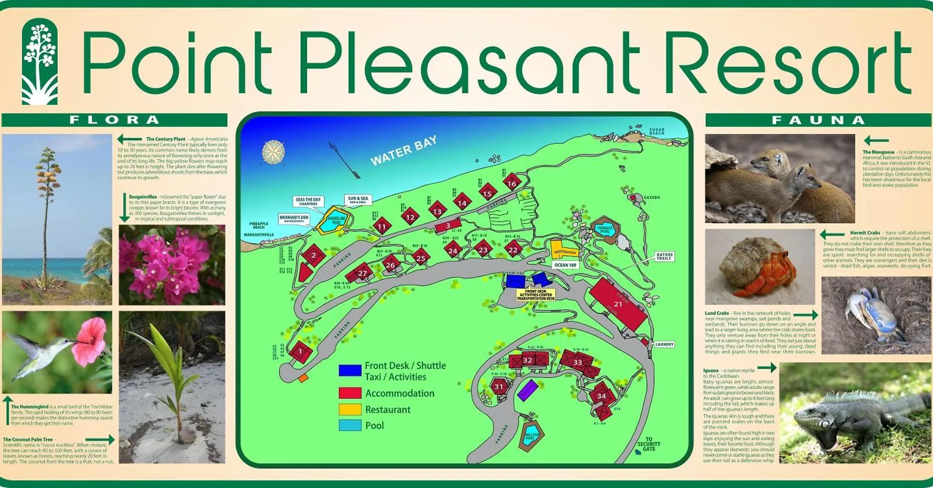 Point Pleasant Resort Frydendal 0*,  United States Virgin Islands