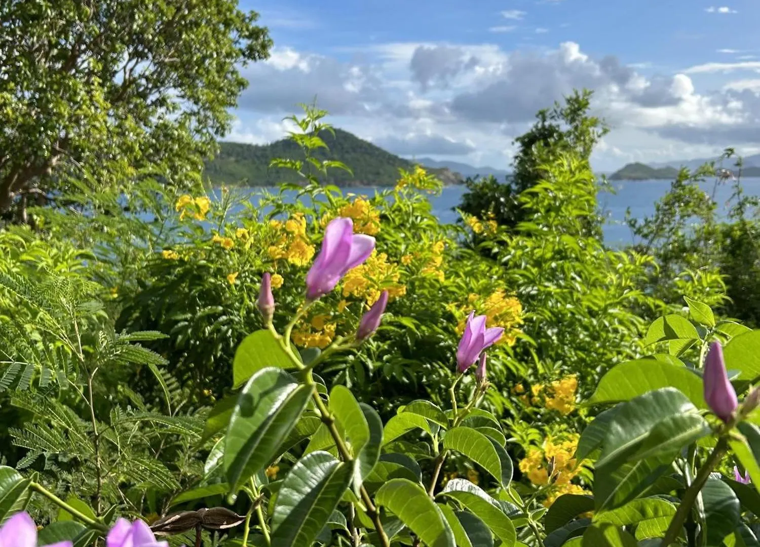 Villa Point Pleasant Resort Frydendal